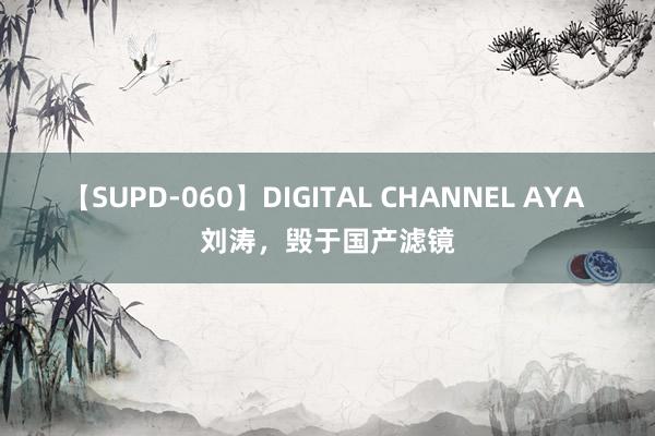 【SUPD-060】DIGITAL CHANNEL AYA 刘涛，毁于国产滤镜