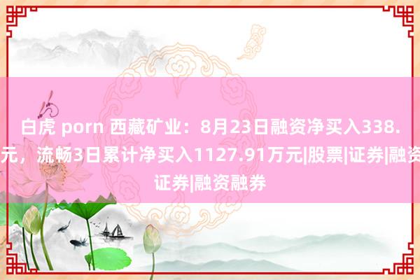 白虎 porn 西藏矿业：8月23日融资净买入338.89万元，流畅3日累计净买入1127.91万元|股票|证券|融资融券