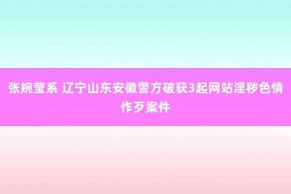 张婉莹系 辽宁山东安徽警方破获3起网站淫秽色情作歹案件