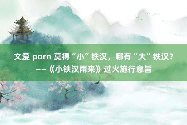 文爱 porn 莫得“小”铁汉，哪有“大”铁汉？——《小铁汉雨来》过火施行意旨