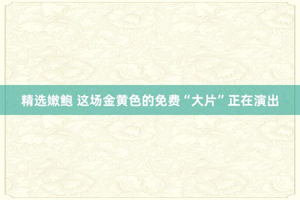 精选嫩鲍 这场金黄色的免费“大片”正在演出