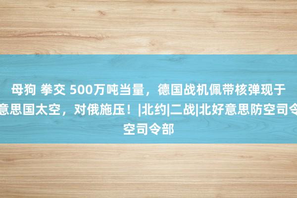 母狗 拳交 500万吨当量，德国战机佩带核弹现于好意思国太空，对俄施压！|北约|二战|北好意思防空司令部