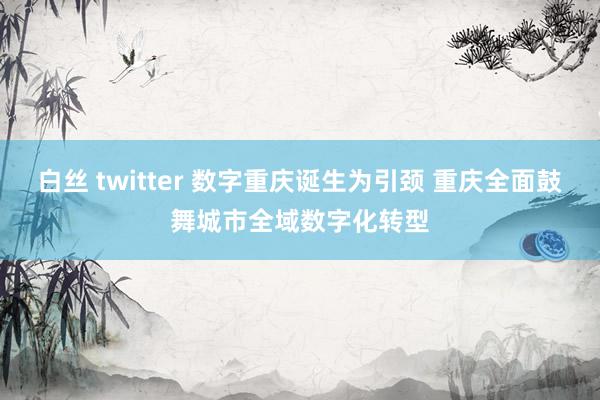 白丝 twitter 数字重庆诞生为引颈 重庆全面鼓舞城市全域数字化转型