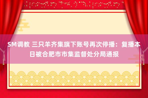 SM调教 三只羊齐集旗下账号再次停播：复播本日被合肥市市集监督处分局通报