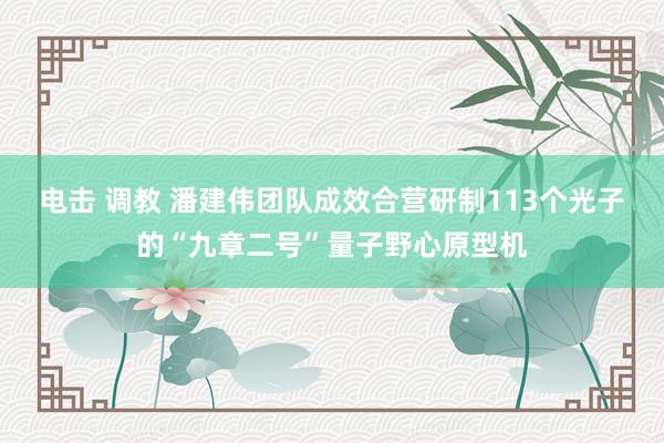 电击 调教 潘建伟团队成效合营研制113个光子的“九章二号”量子野心原型机