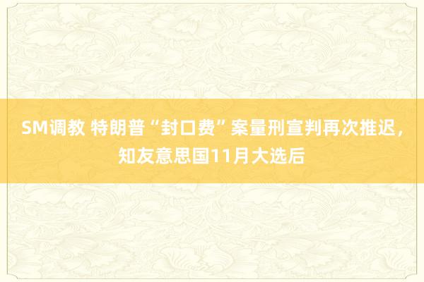 SM调教 特朗普“封口费”案量刑宣判再次推迟，知友意思国11月大选后