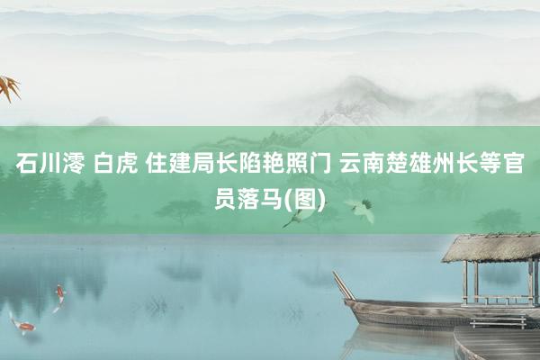 石川澪 白虎 住建局长陷艳照门 云南楚雄州长等官员落马(图)