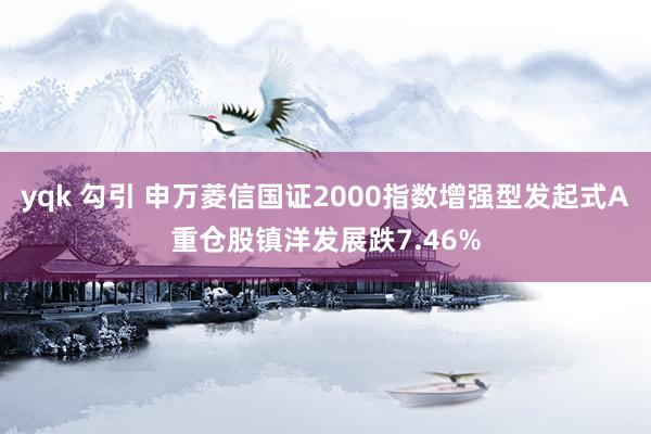 yqk 勾引 申万菱信国证2000指数增强型发起式A重仓股镇洋发展跌7.46%