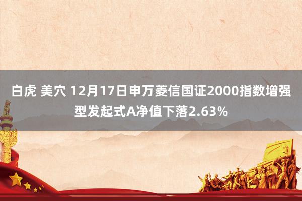 白虎 美穴 12月17日申万菱信国证2000指数增强型发起式A净值下落2.63%