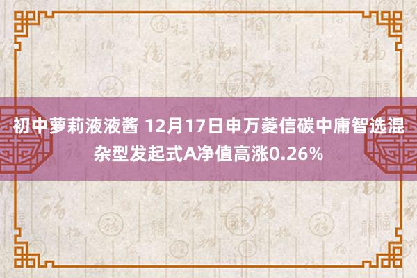 初中萝莉液液酱 12月17日申万菱信碳中庸智选混杂型发起式A净值高涨0.26%